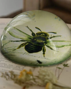 Botanische Insect Presse Papier Bij, Groot 13 Botanische Insect Presse Papier Bij, Groot -Woondecoratie botanische insect presse papier bij groot 3