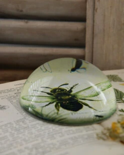 Botanische Insect Presse Papier Bij, Groot 14 Botanische Insect Presse Papier Bij, Groot -Woondecoratie botanische insect presse papier bij groot 4