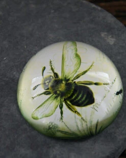 Botanische Insect Presse Papier Bij, Groot 15 Botanische Insect Presse Papier Bij, Groot -Woondecoratie botanische insect presse papier bij groot 5