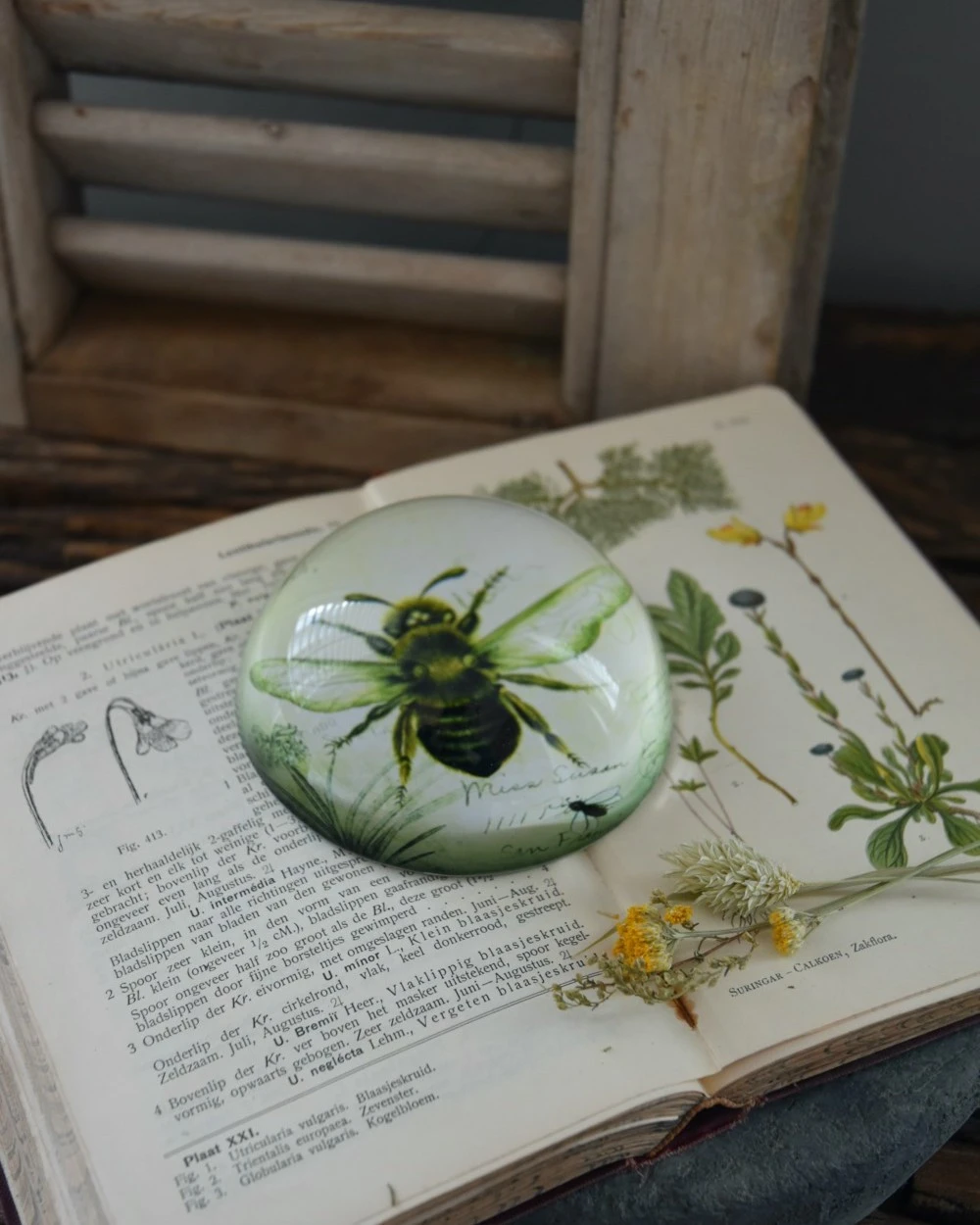 Botanische Insect Presse Papier Bij, Groot 3 Botanische Insect Presse Papier Bij, Groot