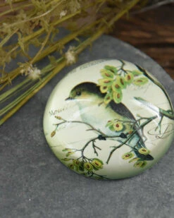 Brocante Glazen Halve Bol Vogel Op Tak, Groot -Woondecoratie brocante glazen halve bol vogel op tak groot 2