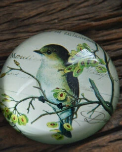 Brocante Glazen Halve Bol Vogel Op Tak, Groot