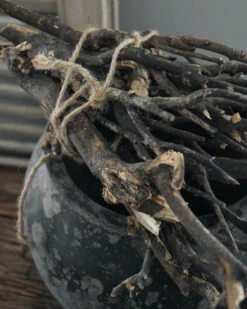 Bundel Takken Naturel -Woondecoratie bundel takken naturel 3