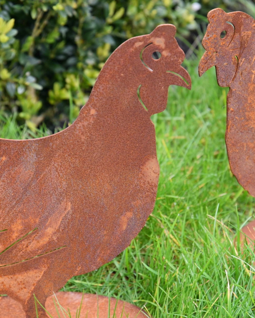 Ecoroest Silhouet Kip Tuindecoratie 5 Ecoroest Silhouet Kip Tuindecoratie - Afbeelding 3