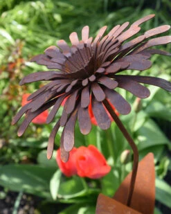 Ecoroest Tuinprikker Bloem Zinnia -Woondecoratie ecoroest tuinprikker bloem zinnia 2