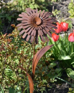 Ecoroest Tuinprikker Bloem Zinnia -Woondecoratie ecoroest tuinprikker bloem zinnia 3