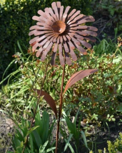 Ecoroest Tuinprikker Bloem Zinnia -Woondecoratie ecoroest tuinprikker bloem zinnia 6