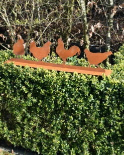 Familie Kip Met Haan Ecoroest Tuindecoratie -Woondecoratie familie kip met haan ecoroest tuindecoratie 7