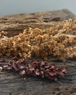 Gedroogde Gemengde Grassen En Zaaddozen 12 Gedroogde Gemengde Grassen En Zaaddozen -Woondecoratie gedroogde gemengde grassen en zaaddozen 2