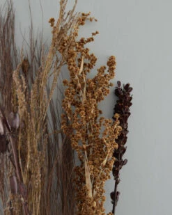 Gedroogde Gemengde Grassen En Zaaddozen