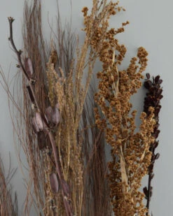 Gedroogde Gemengde Grassen En Zaaddozen 13 Gedroogde Gemengde Grassen En Zaaddozen -Woondecoratie gedroogde gemengde grassen en zaaddozen 3