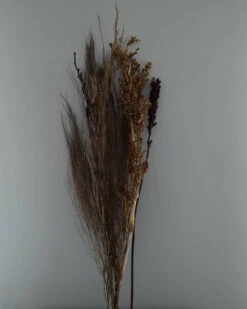 Gedroogde Gemengde Grassen En Zaaddozen 14 Gedroogde Gemengde Grassen En Zaaddozen -Woondecoratie gedroogde gemengde grassen en zaaddozen 4