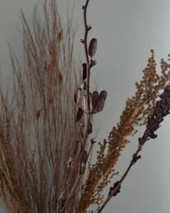 Gedroogde Gemengde Grassen En Zaaddozen 15 Gedroogde Gemengde Grassen En Zaaddozen -Woondecoratie gedroogde gemengde grassen en zaaddozen 5