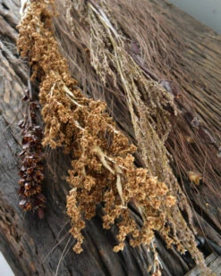 Gedroogde Gemengde Grassen En Zaaddozen 17 Gedroogde Gemengde Grassen En Zaaddozen -Woondecoratie gedroogde gemengde grassen en zaaddozen 7