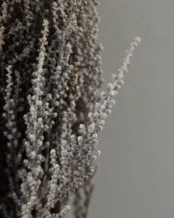 Gedroogde Gepreserveerde Stoebe Pluim -Woondecoratie gedroogde gepreserveerde stoebe pluim 2