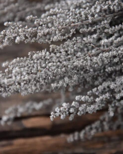 Gedroogde Gepreserveerde Stoebe Pluim -Woondecoratie gedroogde gepreserveerde stoebe pluim 3