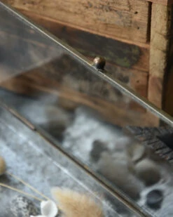 Glazen Kistje In Antiek-look Met Zinken Bodem, IB Laursen -Woondecoratie glazen kistje in antiek look met zinken bodem ib laursen 3