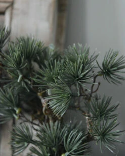 Grote Groene Kerstgroen Krans Cedar, IB Laursen 11 Grote Groene Kerstgroen Krans Cedar, IB Laursen -Woondecoratie grote groene kerstgroen krans cedar ib laursen 2