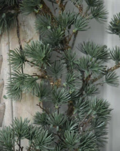 Grote Groene Kerstgroen Krans Cedar, IB Laursen 12 Grote Groene Kerstgroen Krans Cedar, IB Laursen -Woondecoratie grote groene kerstgroen krans cedar ib laursen 3