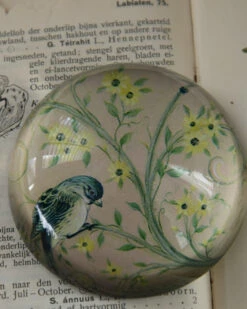 Halve Bol Van Glas Met Vogels In Pastel