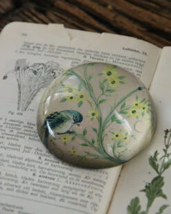 Halve Bol Van Glas Met Vogels In Pastel 15 Halve Bol Van Glas Met Vogels In Pastel -Woondecoratie halve bol van glas met vogels in pastel 5