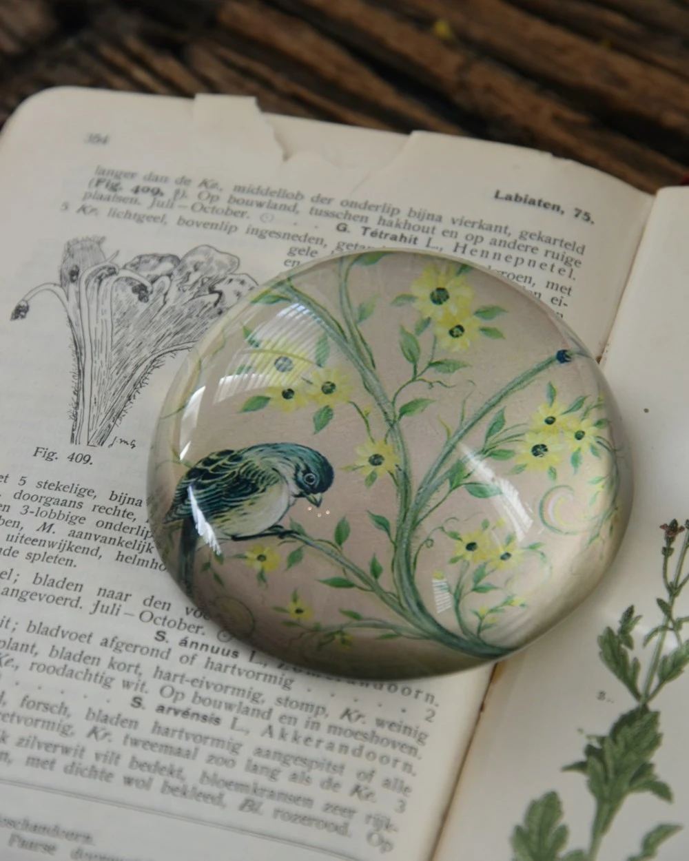 Halve Bol Van Glas Met Vogels In Pastel 8 Halve Bol Van Glas Met Vogels In Pastel - Afbeelding 6