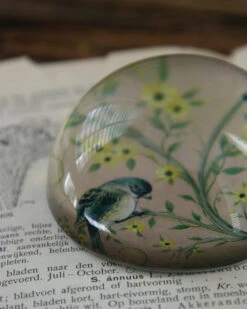 Halve Bol Van Glas Met Vogels In Pastel 17 Halve Bol Van Glas Met Vogels In Pastel -Woondecoratie halve bol van glas met vogels in pastel 7