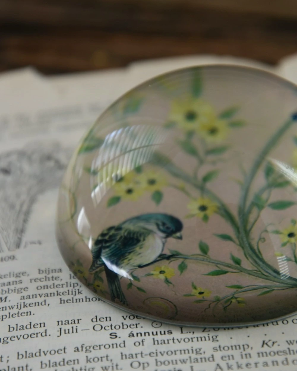 Halve Bol Van Glas Met Vogels In Pastel 10 Halve Bol Van Glas Met Vogels In Pastel - Afbeelding 8