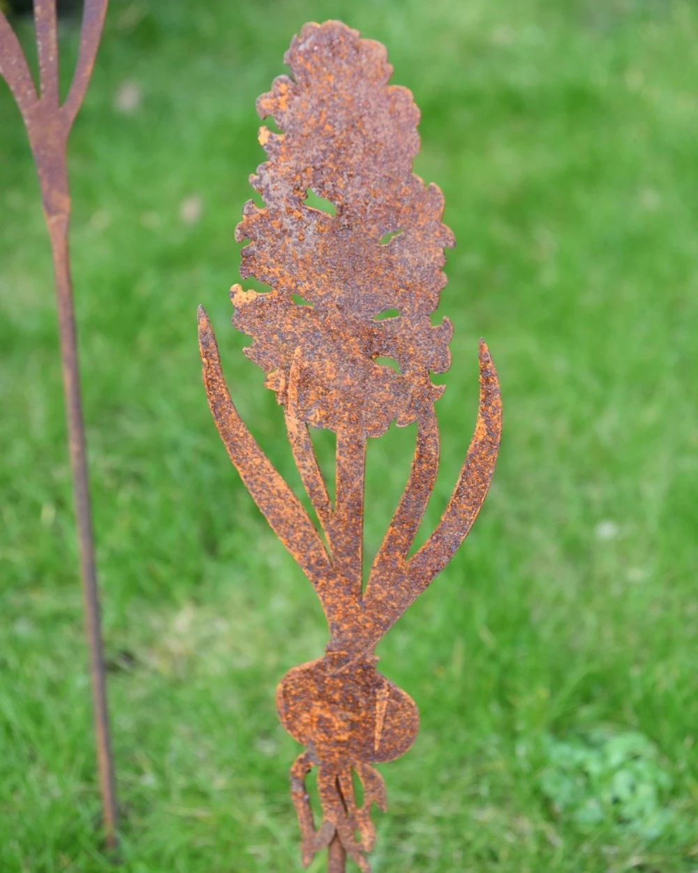 Hyacint Met Bol Op Prikker, Metaal Roest 4 Hyacint Met Bol Op Prikker, Metaal Roest - Afbeelding 3