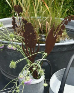 Hyacint Met Bol Op Prikker, Metaal Roest 15 Hyacint Met Bol Op Prikker, Metaal Roest -Woondecoratie hyacint met bol op prikker metaal roest 6