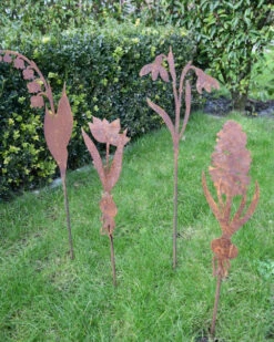 Hyacint Met Bol Op Prikker, Metaal Roest 16 Hyacint Met Bol Op Prikker, Metaal Roest -Woondecoratie hyacint met bol op prikker metaal roest 7