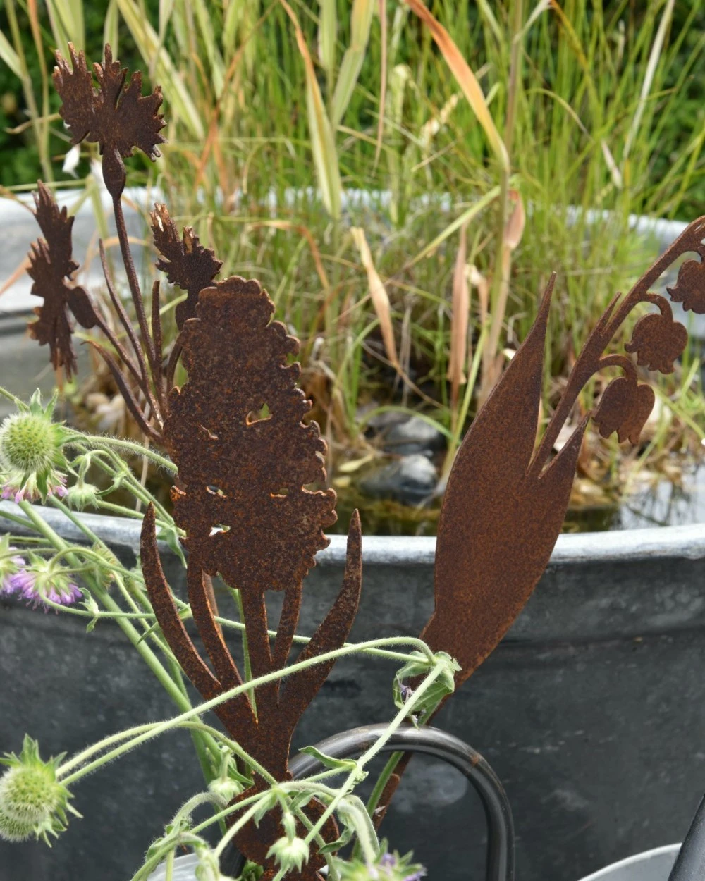 Hyacint Met Bol Op Prikker, Metaal Roest 2 Hyacint Met Bol Op Prikker, Metaal Roest