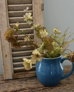 Kan In Korenbloem Kleur, Mynte -Woondecoratie kan in korenbloem kleur mynte 2