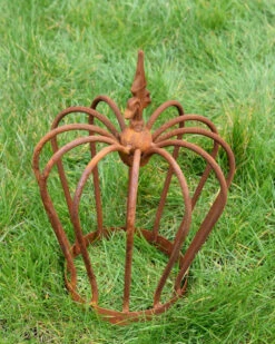 Kroon Van Ecoroest Met Franse Lelie