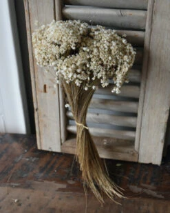 Marcela Droogbloemetjes In Naturel Wit 11 Marcela Droogbloemetjes In Naturel Wit -Woondecoratie marcela droogbloemetjes in naturel wit 2