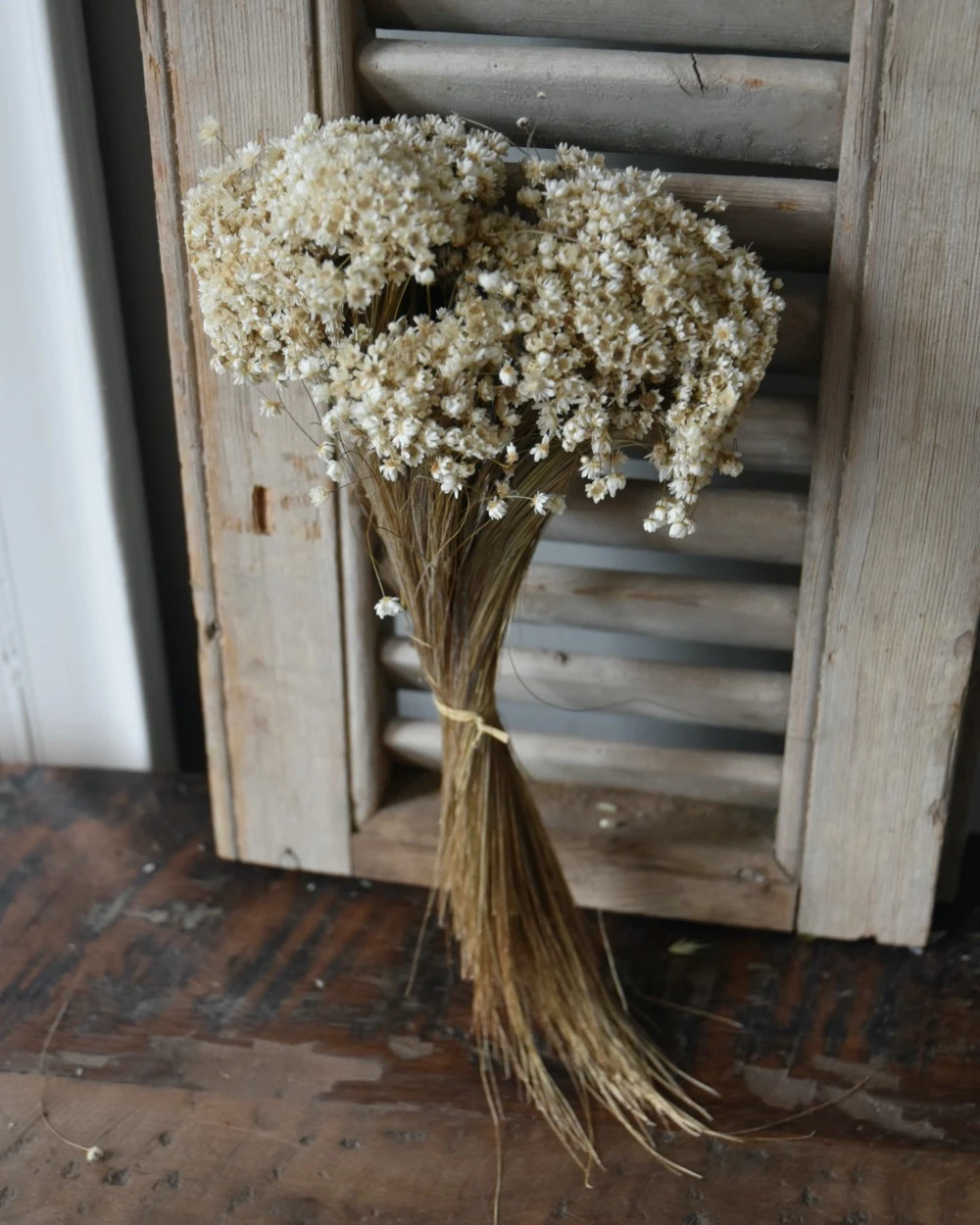 Marcela Droogbloemetjes In Naturel Wit 5 Marcela Droogbloemetjes In Naturel Wit - Afbeelding 3