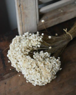 Marcela Droogbloemetjes In Naturel Wit 12 Marcela Droogbloemetjes In Naturel Wit -Woondecoratie marcela droogbloemetjes in naturel wit 3