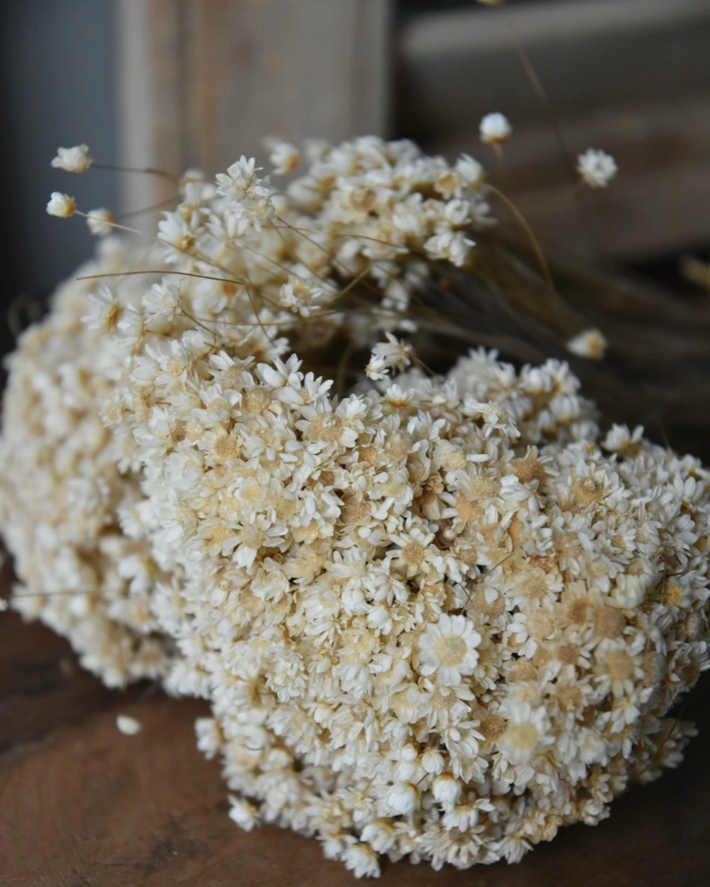 Marcela Droogbloemetjes In Naturel Wit 8 Marcela Droogbloemetjes In Naturel Wit - Afbeelding 6