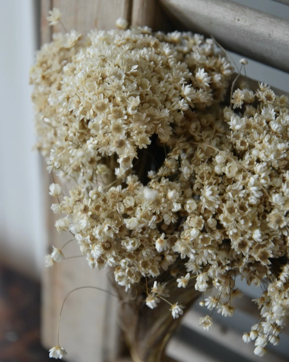 Marcela Droogbloemetjes In Naturel Wit 9 Marcela Droogbloemetjes In Naturel Wit - Afbeelding 7