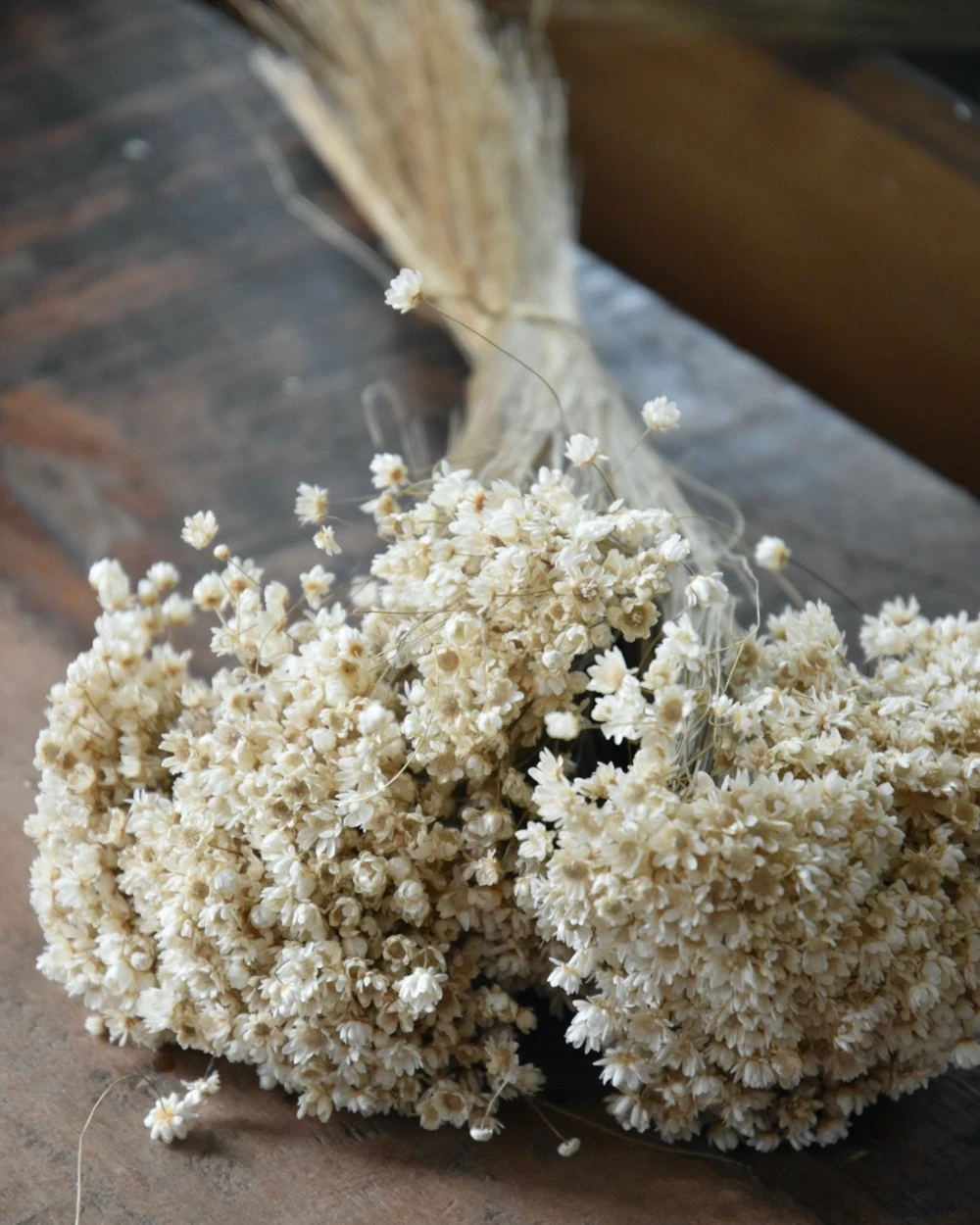 Marcela Droogbloemetjes In Naturel Wit 3 Marcela Droogbloemetjes In Naturel Wit
