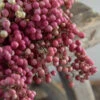 Gedroogde Peperbessen Roze Per Bos -Woondecoratie peperbessen roze