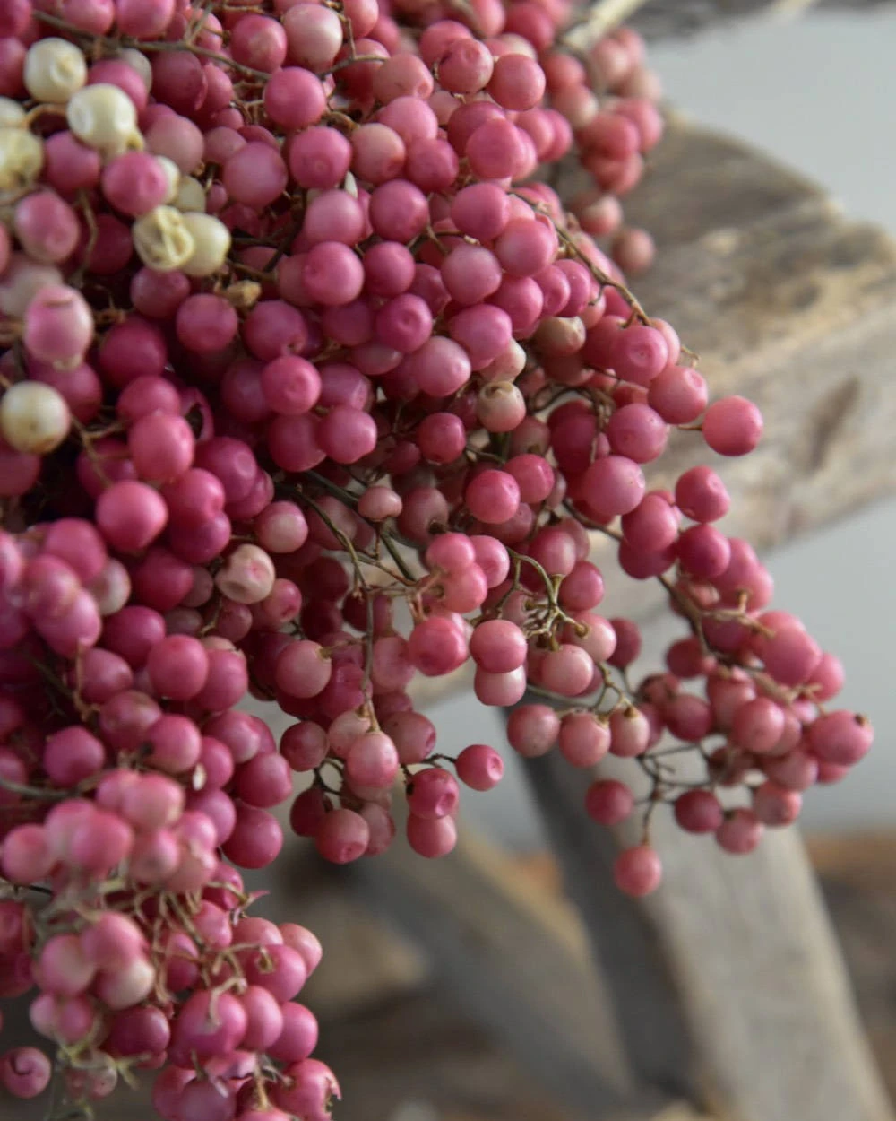 Gedroogde Peperbessen Roze Per Bos 3 Gedroogde Peperbessen Roze Per Bos