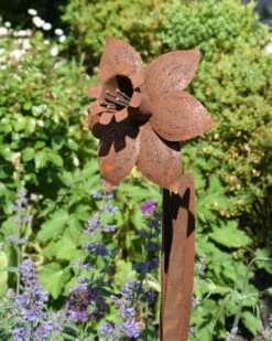 Roestbloem Tuinprikker Trompet Narcis 10 Roestbloem Tuinprikker Trompet Narcis -Woondecoratie roestbloem tuinprikker trompet narcis 1 3