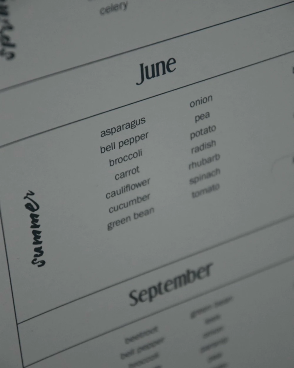 Seizoensbord Voor Groente, IB Laursen 4 Seizoensbord Voor Groente, IB Laursen - Afbeelding 2