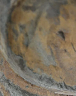 Uniek Houten Chapati Met Oren -Woondecoratie uniek houten chapati met oren 4