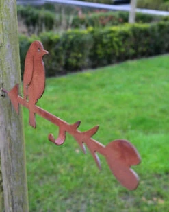 Vogel Voederpijl Met Silhouet Vogel