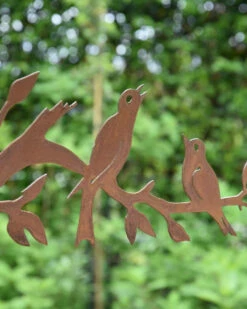 Zingende Vogels Op Bladertak, Ecoroest